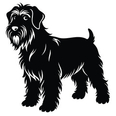 black rssina terrier vector dog