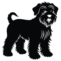 black rssina terrier vector dog