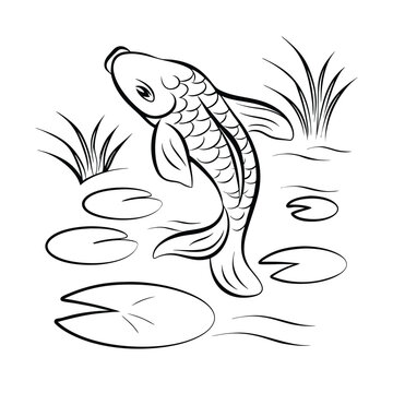 recommend clip art: Koi fish swimming in pond with lily pads grayscale vector illustration suitable for coloring books and childrens activities
