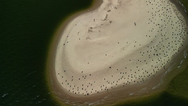 Mikoszewo - Polska piękne plaże i zmieniające się małe wysepki z piasku nagrane dronem