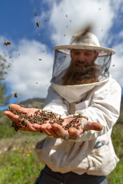 Apicultor con barba con abejas en sus manos desnudas en imagen vertical 