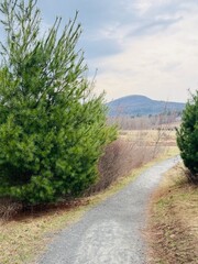 The winding, meandering Windham Path, in early spring. walk, bike, hike or run by meadow, creek, stream enjoying the mountain sunrise. Small town countryside vibe.  Charming ski area in the Catskills.