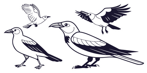 vector illustration of a bird