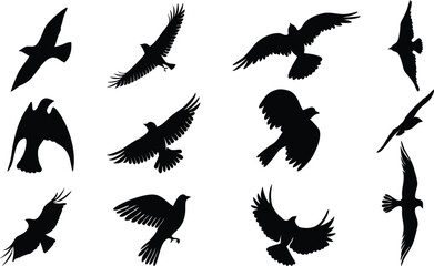 Obraz premium Spring Birds Hand-Drawn Linocut Vector Art Natural Print Poster Logo Templates