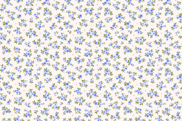 Cute floral pattern in small vintage flowers. Small light blue flowers. White background. Ditsy print. Floral seamless background. Gentle template for fashion prints. Fashion summer print. Stock 