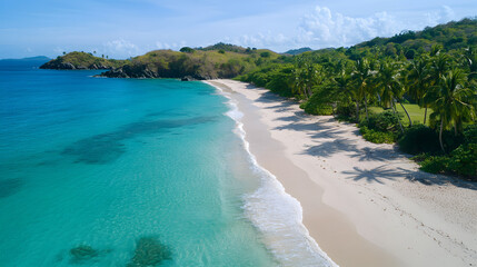 Fototapeta premium A secluded tropical beach with palm trees, crystal-clear water, and gentle waves lapping against the shore in a serene and peaceful setting.