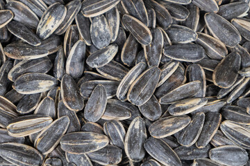 Sunflower seeds background