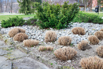 The garden after winter, tidy and prepared for spring bloom.