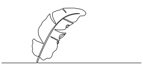 Bird of Paradise Banana Leaf Continuous Line Drawing, Continuous one line drawing of banana leaf. One line drawing illustration of banana leaf. Tropical leaf concept line art. outline, organic shapes.