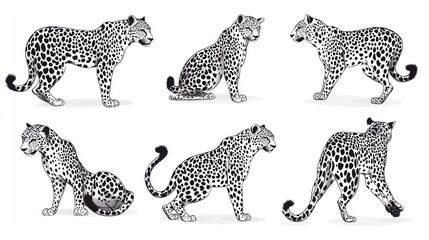 Six leopards, various poses, white background, wildlife illustration, design element (2)