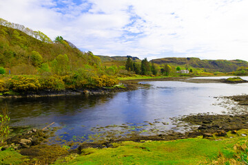 Fototapeta premium Balluchuan Loch, Lake Balvicar, Argyl, Scotland.