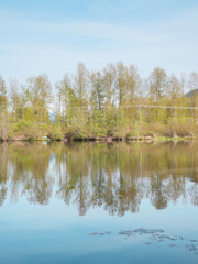 Great Blue Heron Nature Reserve during a spring season in Chilliwack, British Columbia, Canada