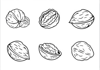 Walnut Icon Set – Vector Collection of Whole and Cracked Walnuts for Illustrations

