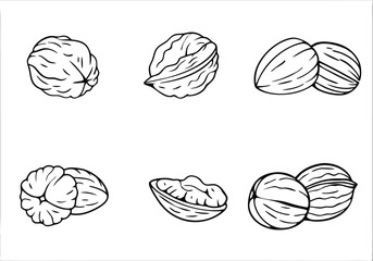 Walnut Icon Set – Vector Collection of Whole and Cracked Walnuts for Illustrations

