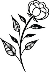 Romantic Rose Design Illustration black and white