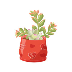 Green echeveria succulent cactus in pot . Houseplant on isolated background. Vector illustration.