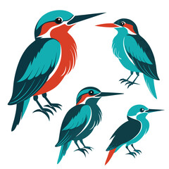  set of Kingfisher birds  shilhotee vector with white background