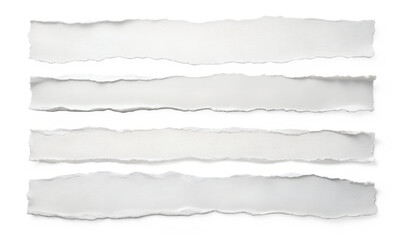 Fototapeta premium ripped paper background