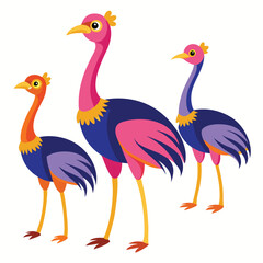  set of Ostrich birds  shilhotee vector with white background