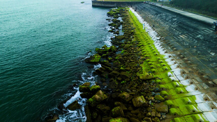 Waves crashing against tetrapods covered in vibrant green algae, forming a protective barrier along...