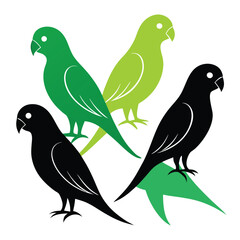  set of Parakeet birds  shilhotee vector with white background