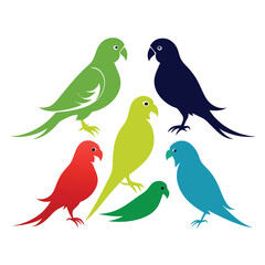  set of Parakeet birds  shilhotee vector with white background