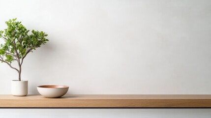 Minimalist Plant and Bowl Modern Style Bright Studio Lighting Wide Landscape View Natural Textures Peaceful Scene White Wall Background Neutral Calming Tones Perfect for Home Decor Ads