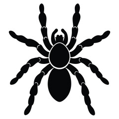 Vector illustration of silhouette tarantula, spider profile, alert view, simple creature icon