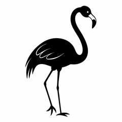 flamingo silhouette isolated on white