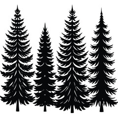 Fototapeta premium Silhouette of Four Evergreen Trees in a Row