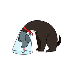 Vector illustration of a sad dog wearing a medical cone collar, looking at a bone. for veterinary clinic advertisements, pet recovery materials, or animal welfare campaigns.