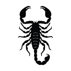 Fototapeta premium scorpion silhouette vector
