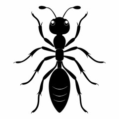 vector illustration of a cartoon spider
