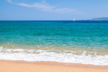 A tranquil beach setting featuring a golden sandy shore and waves