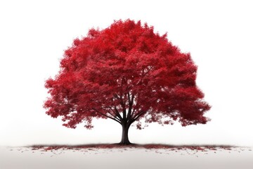 red tree with a deep crimson canopy, its autumn-colored leaves gently falling, casting soft shadows on the ground beneath