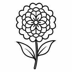 black and white flower