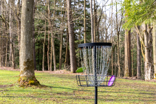 disc in goal of disc golf