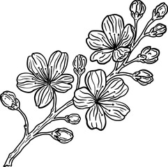 Black and white illustration of a blooming sakura branch.