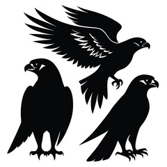 set of Falcon shilhotee vector with white background