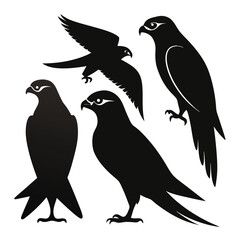  set of Falcon shilhotee vector with white background