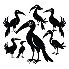  set of Hornbill bird shilhotee vector with white background