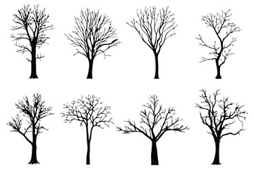 Diverse Leafless Tree Silhouette Collection