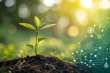 Sapling Growing from Soil with Circuit Board Overlay and Bright Sunny Bokeh