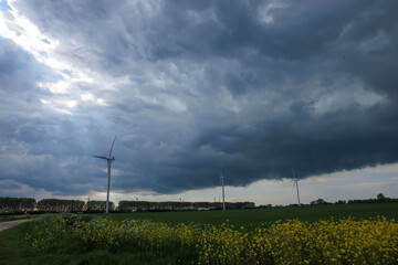 Dramatic sky over wind turbines with yellow flowers in the foreground during an approaching storm in a rural landscape