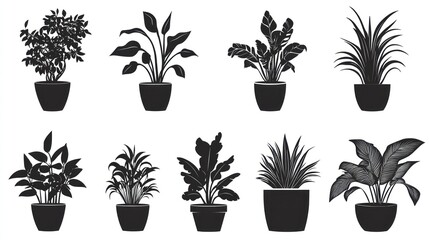 Indoor potted plants, various types, home decor, white background, design element