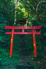  緑に囲まれた下山口稲荷神社の参道