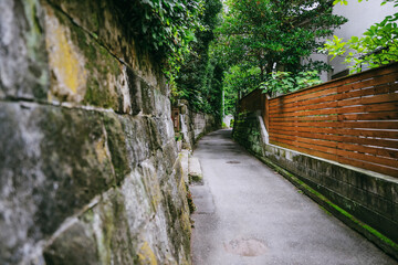  緑に囲まれた佐島石こみちの風景
