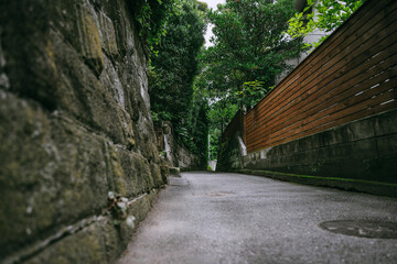  緑に囲まれた佐島石こみちの風景