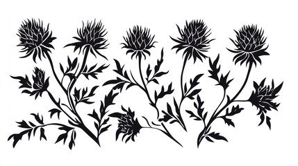 Black silhouette aster flowers, botanical illustration, white background, design element