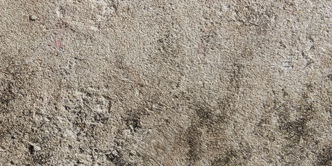 Abstract white grunge dust texture concrete wall on white background Vector for banner and business.